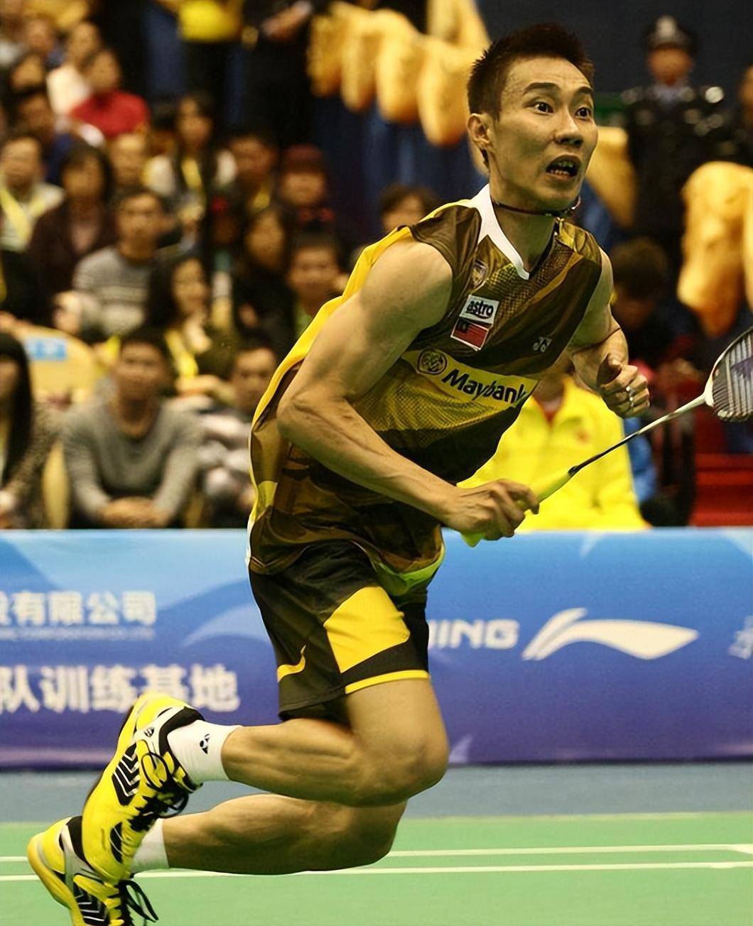 谌龙我将化身NBA大后续来了(你多哄哄我沈宴) 谌龙我将化身NBA大后续来了(你多哄哄我沈宴)